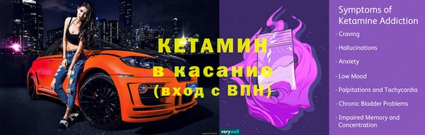 стаф Липки