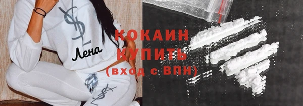 мдпв Магас