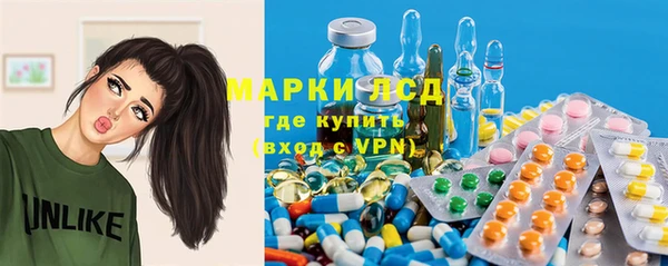 стаф Липки
